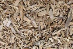 biomass boilers Begbroke